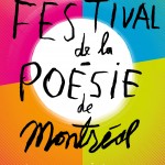 MdP_festival2014_aff_electronique
